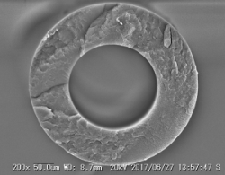 Degassing Membrane SEM 04 cbt.png